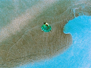 N 040C
